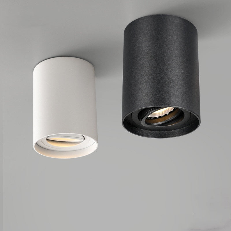 LOG SPOT LED CEILING LIGHT