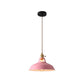 Retro  Industrial style Colorful Restaurant kitchen home lamp Pendant light  Vintage Hanging Light lampshade Decorative lamps