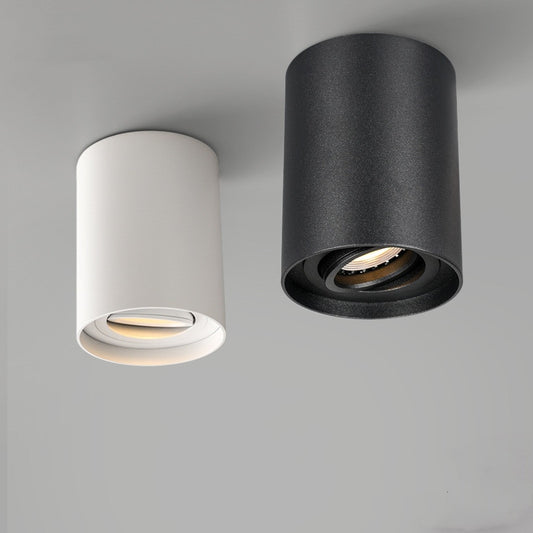 LOG SPOT LED CEILING LIGHT