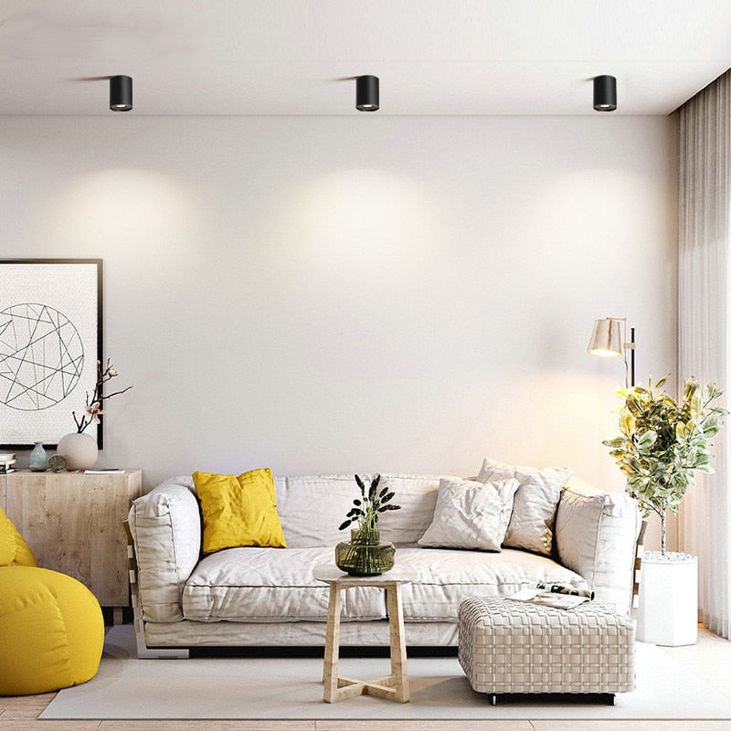 LOG SPOT LED CEILING LIGHT