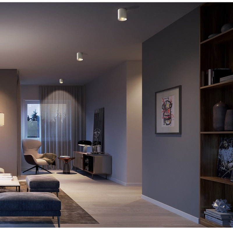 LOG SPOT LED CEILING LIGHT