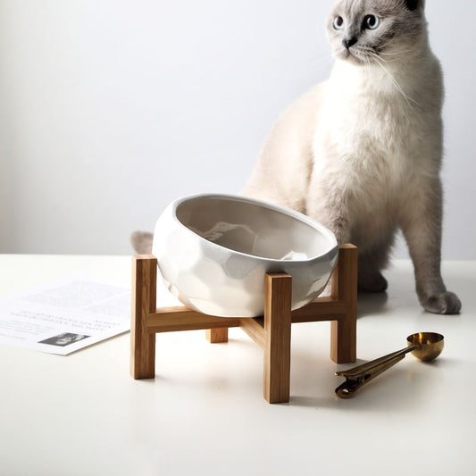 MODERN PET BOWL
