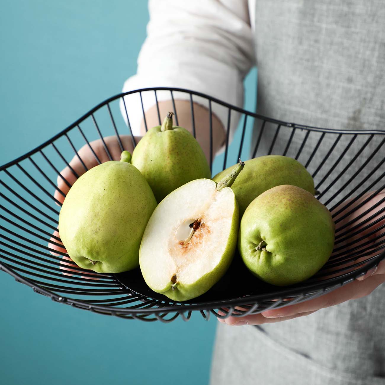 FRUIT ABSTRACT BASKET
